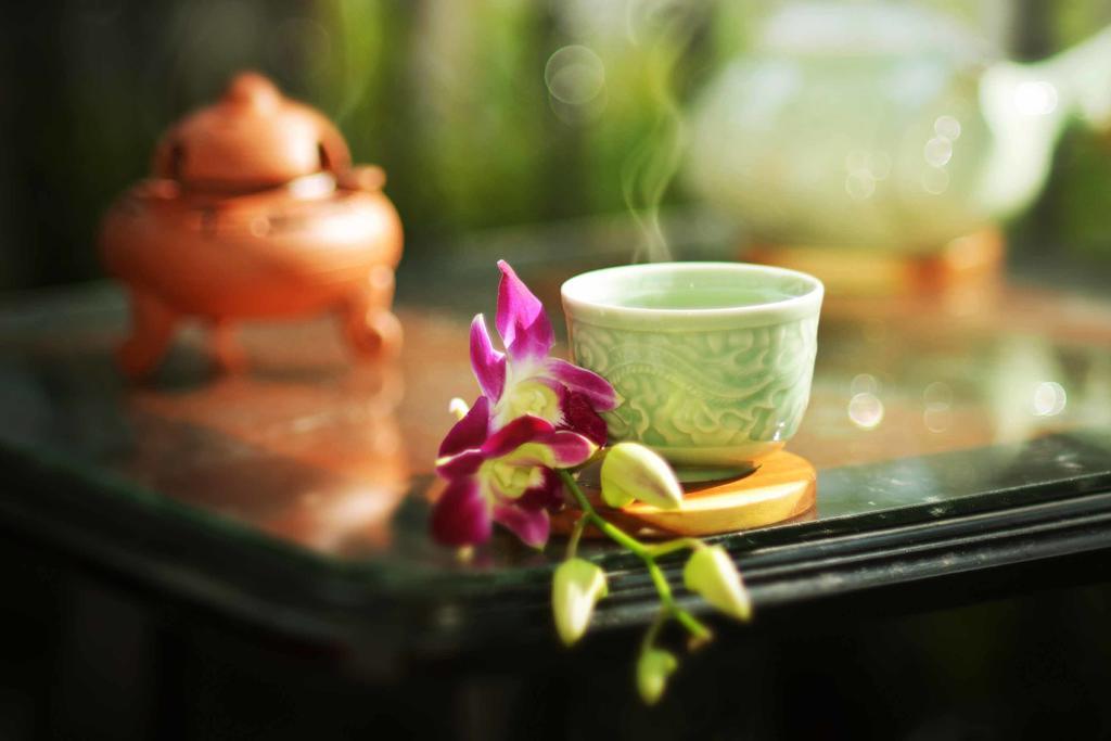 Rice Village Homestay Хойан Экстерьер фото