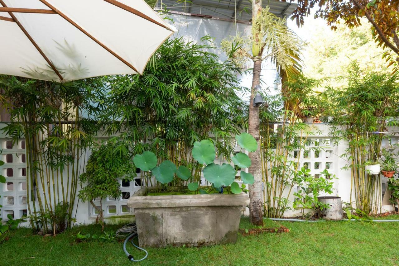 Rice Village Homestay Хойан Экстерьер фото